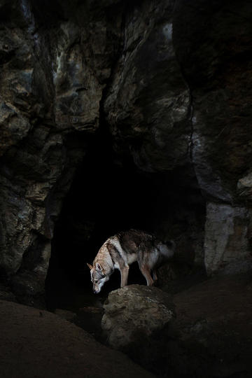 梦梦公主奇迹装